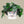 Load image into Gallery viewer, Ceramic Face Planter