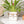 Load image into Gallery viewer, Ceramic Face Planter