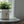 Load image into Gallery viewer, Ceramic Puppy Planter