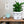 Load image into Gallery viewer, Face Planter eyeglass holder with plants marker alarm clock wooden shelf indoors
