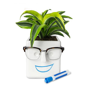 Face Plant white planter eyeglass holder smiling face design plant blue marker