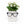 Load image into Gallery viewer, White flowers in square white planter puppy face with eyeglass holder black framed eyeglasses

