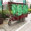The Celebrity Rickshaw
